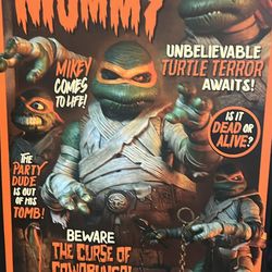 Ninja turtles figures