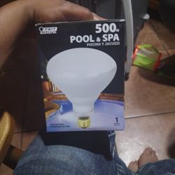 Pool And Spa Light Bulbs 