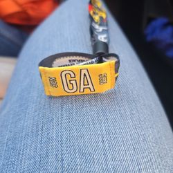 Blink- 182 Wristband For Show 2/22/26- Innings Festival