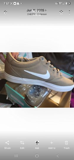 Nike SB Low-Top Skate Sneakers