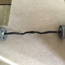 Curl Bar With 10lbs Weights (4)