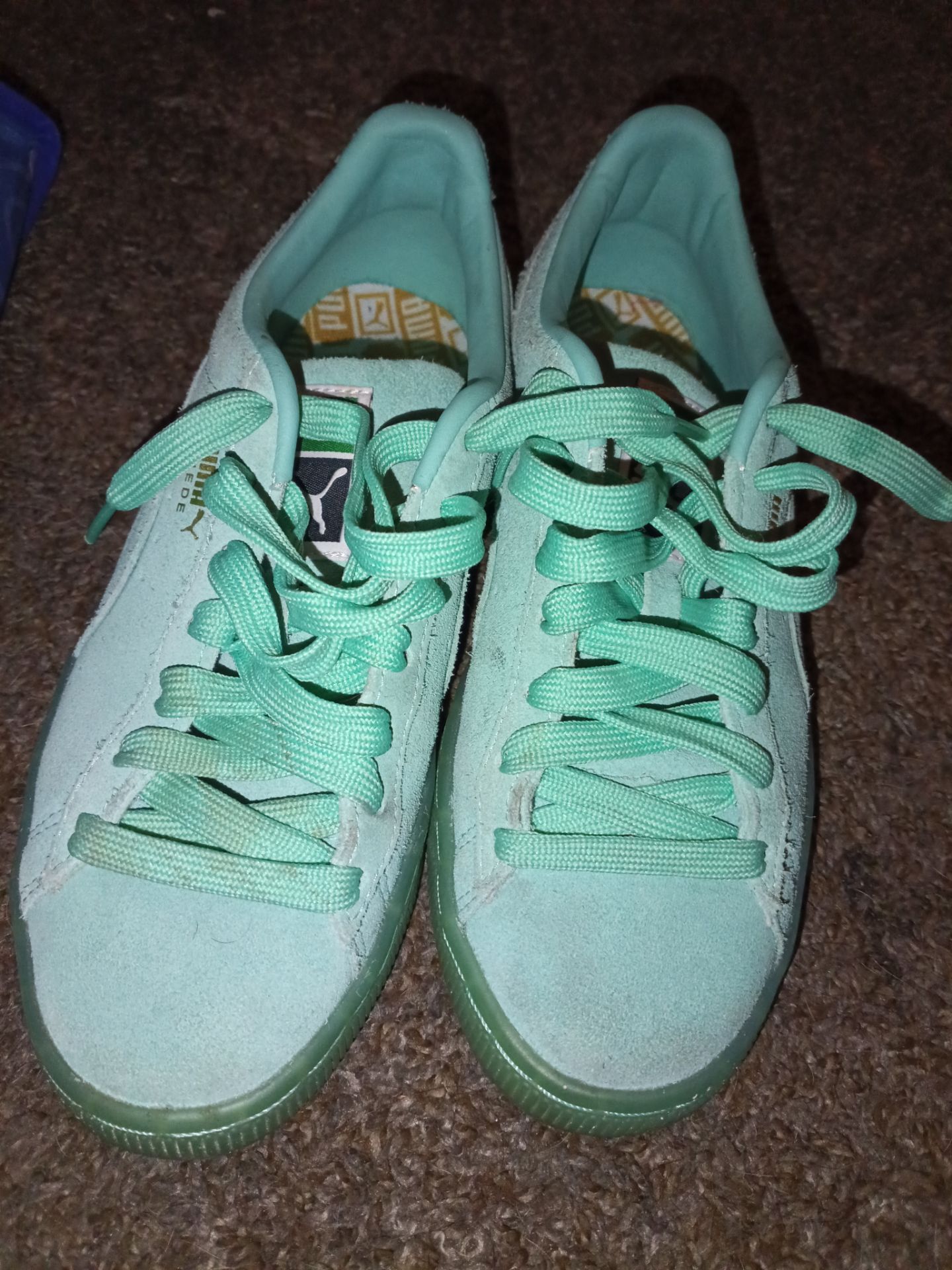 Turquoise Puma Shoes