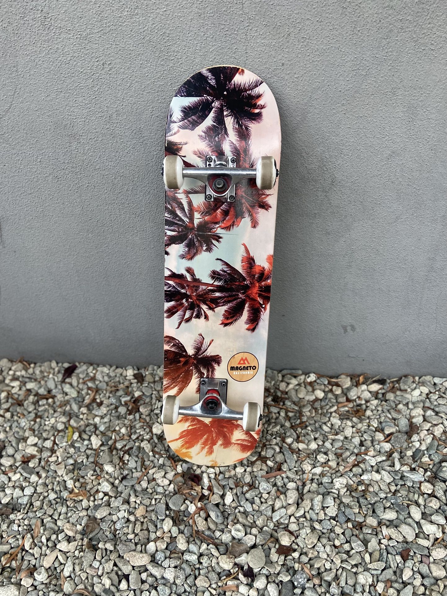 Title: Magneto Complete Skateboard – Palm Tree Design (Great Condition!)