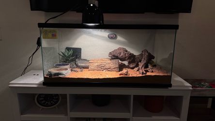 Reptile Glass Terrarium with Accessories