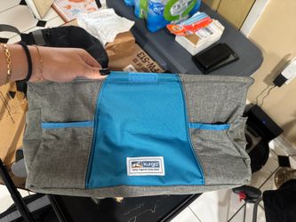 Kurgo Dog Carrier or Travel Bag