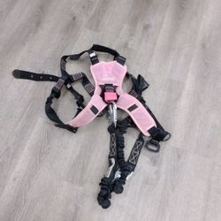 Harness 