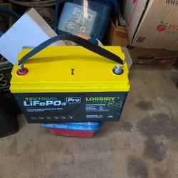 Lithium Iron Phosphate Deep Cycle Battery 