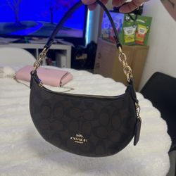 Coach Mini Payton In Signature Canvas 