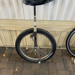 Schwinn Unicycle 24