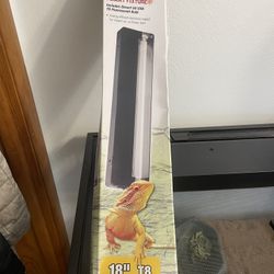 Bearded Dragon T8 Fluorescent Light 
