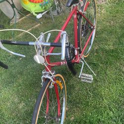 Ross 10 Speed 