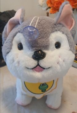 Kawii husky window plush