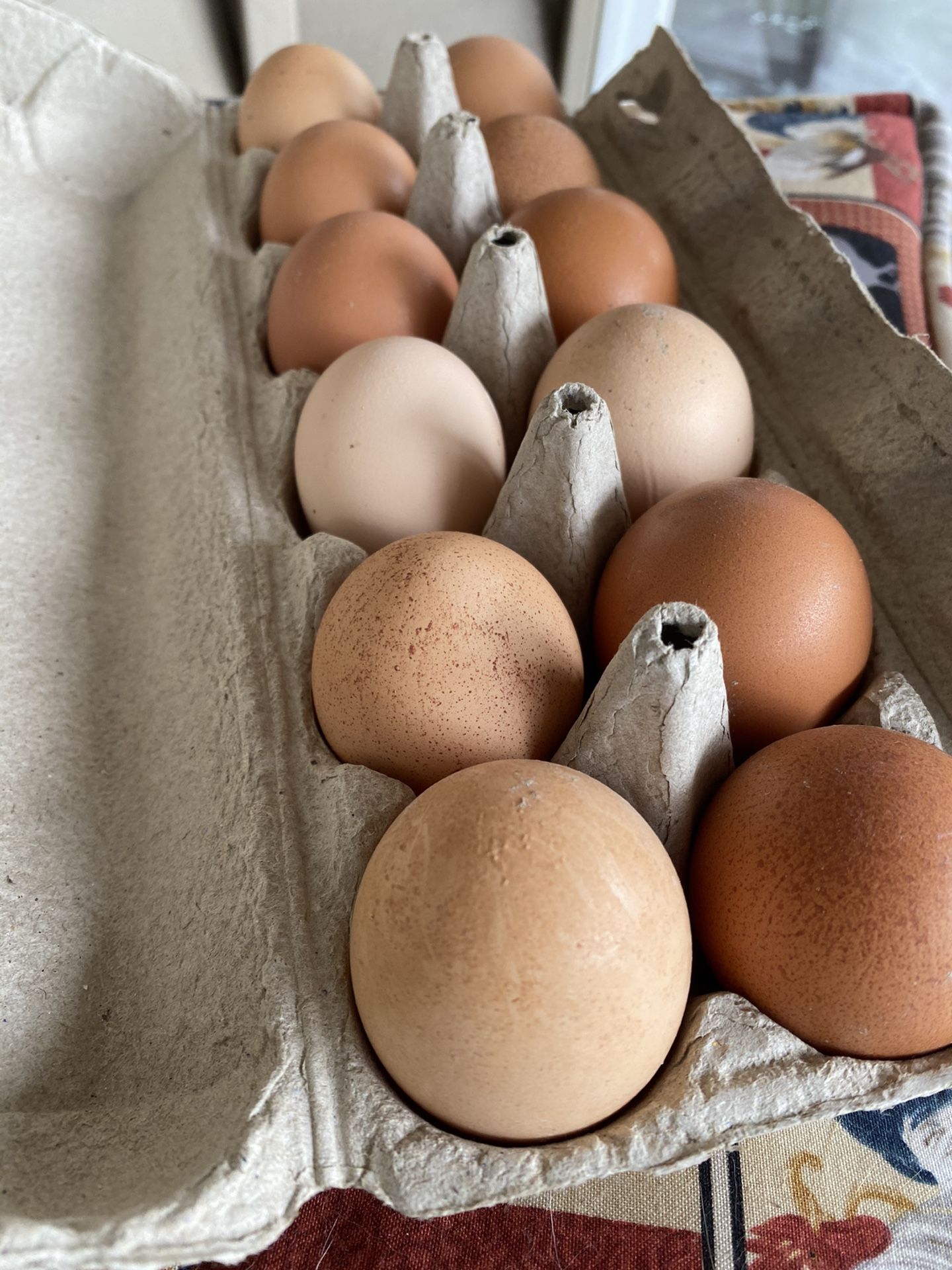 Farm Fresh Eggs