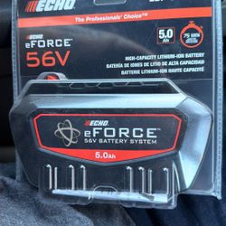Echo  EForce 56v  Battery 