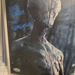Mark Steger Stranger Things 8x10 Signed Photo JSA Certified Autograph