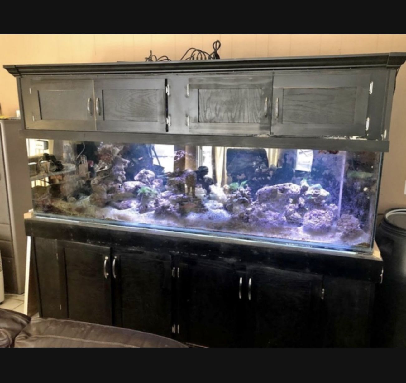 Fish Tank
