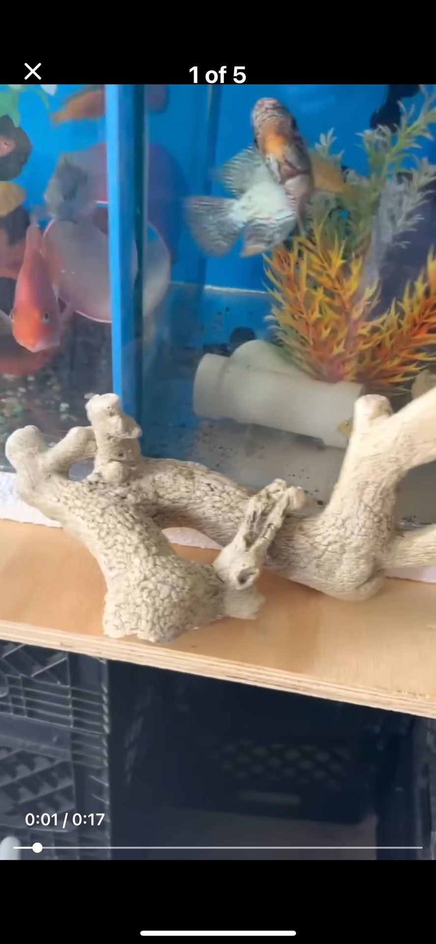 Large Fish Tank Decoration