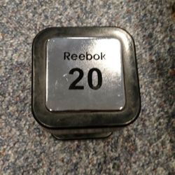Rubber 20 Lb Dumbbell (Single)