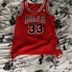 Medium Size Bulls Jersey (pippen)