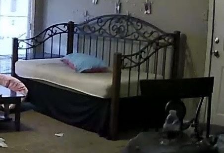 Daybed