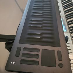 Roli Seaboard Rise 49 Key MIDI Keyboard