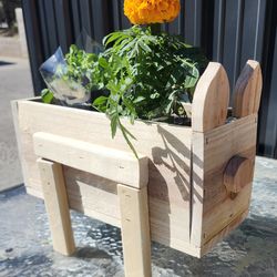 Novelty Pig Cedar Planter