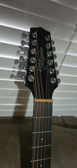 TAKAMINE $499
