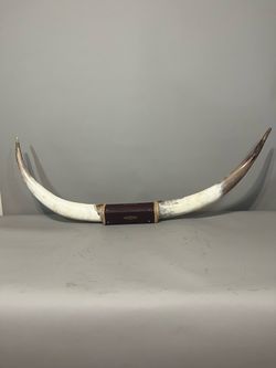 Authentic longhorns