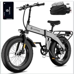Nice E bike 1500 Watt 