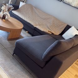 Sectional Grey Couch 