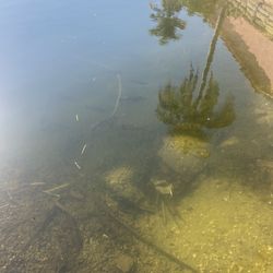 SOUTH FLORIDA LOADED FISHING SPOT