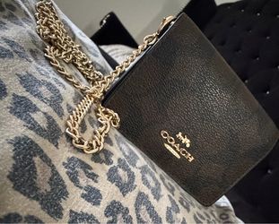 Coach Leather Crossbody Wallet with Gold Chain Strap