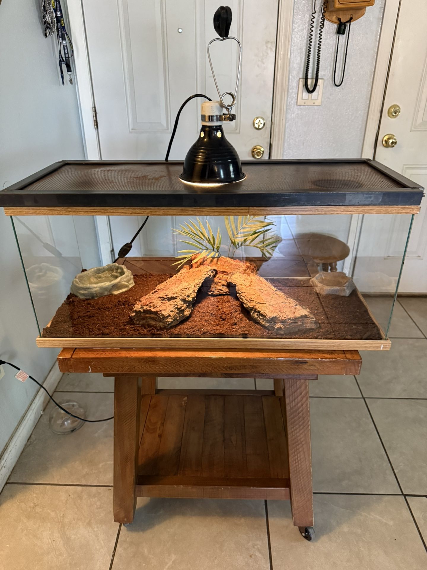 Reptile/Terrarium/Aquarium 20 Gallons Long With Set Up ( No Animals Included ) ( Have More Tanks Available) *** Good Condition ***