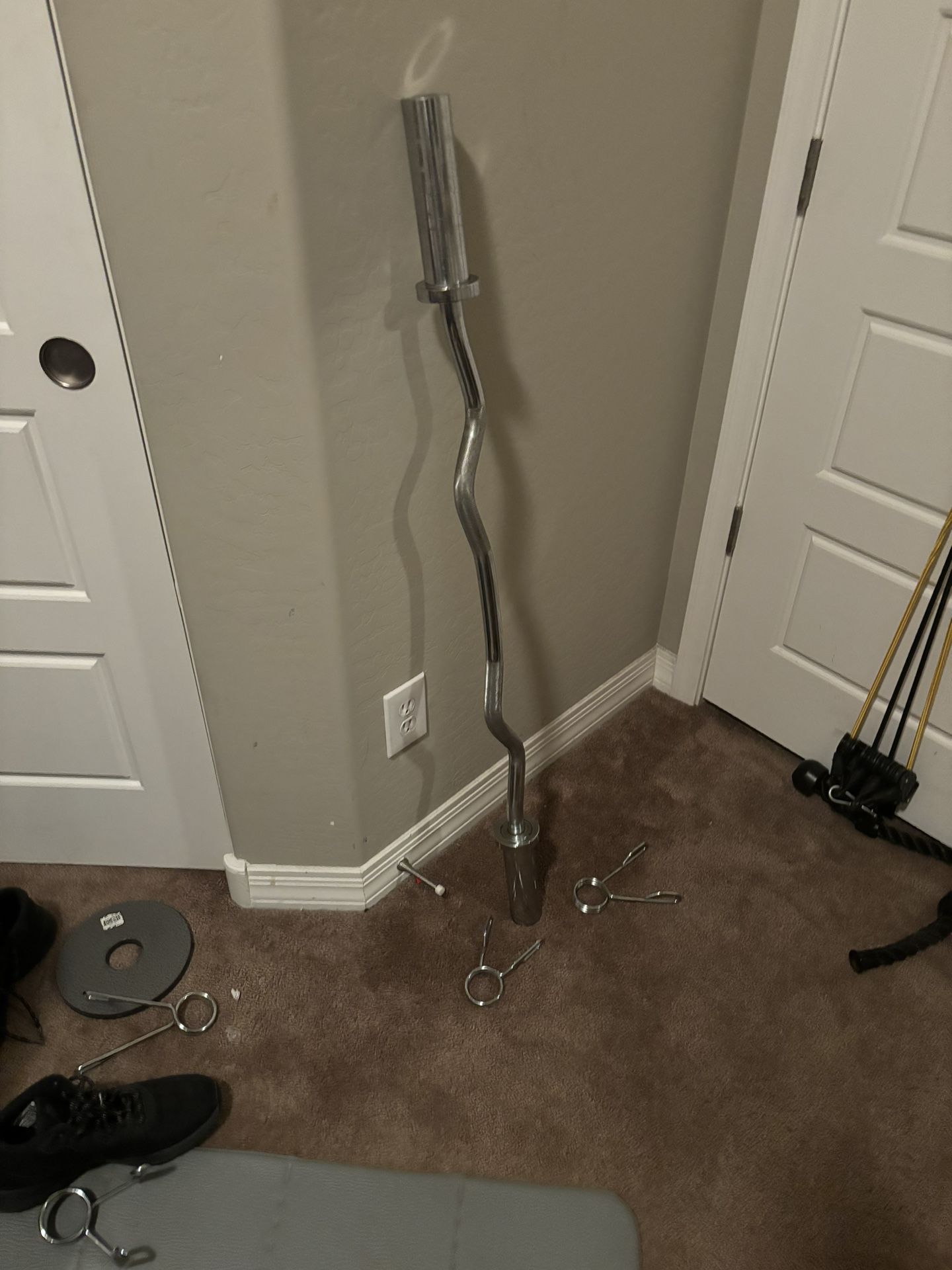 Olympic Curl Bar