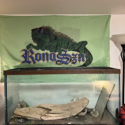 100 Gallon Tank 