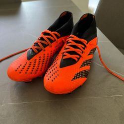 Adidas Predator Soccer Cleats