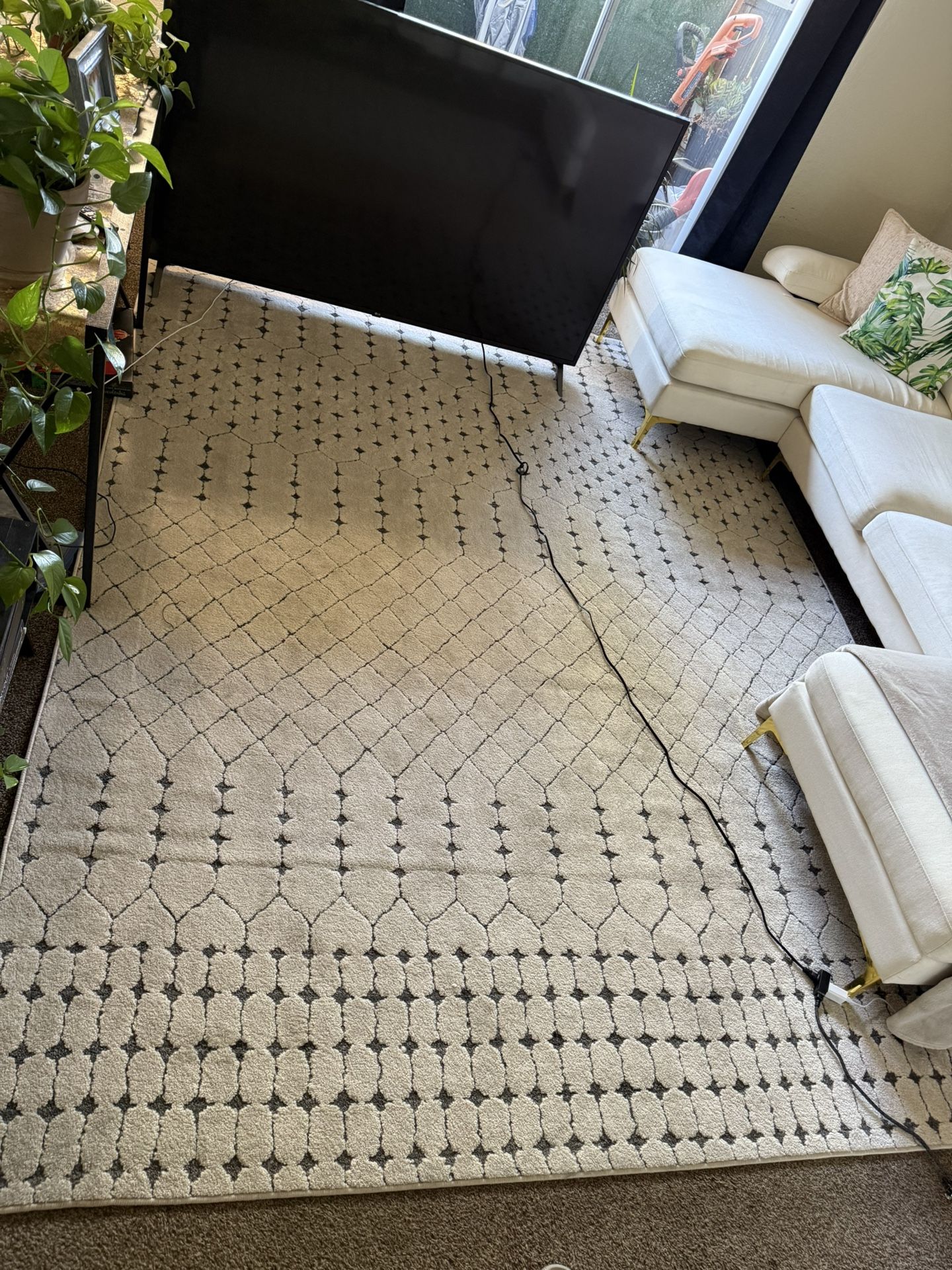 Carpet For Sale
