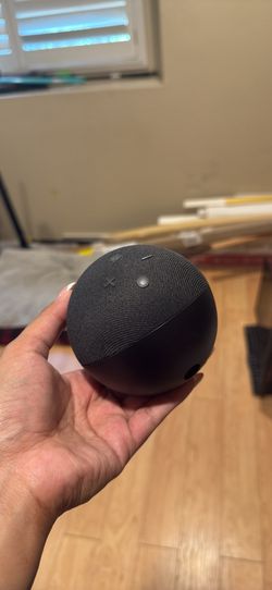 Two Amazon Alexa’s!