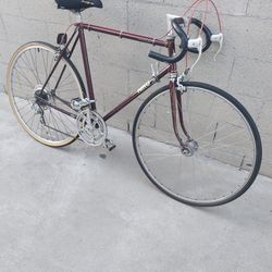 Vintage Niko Bicycle