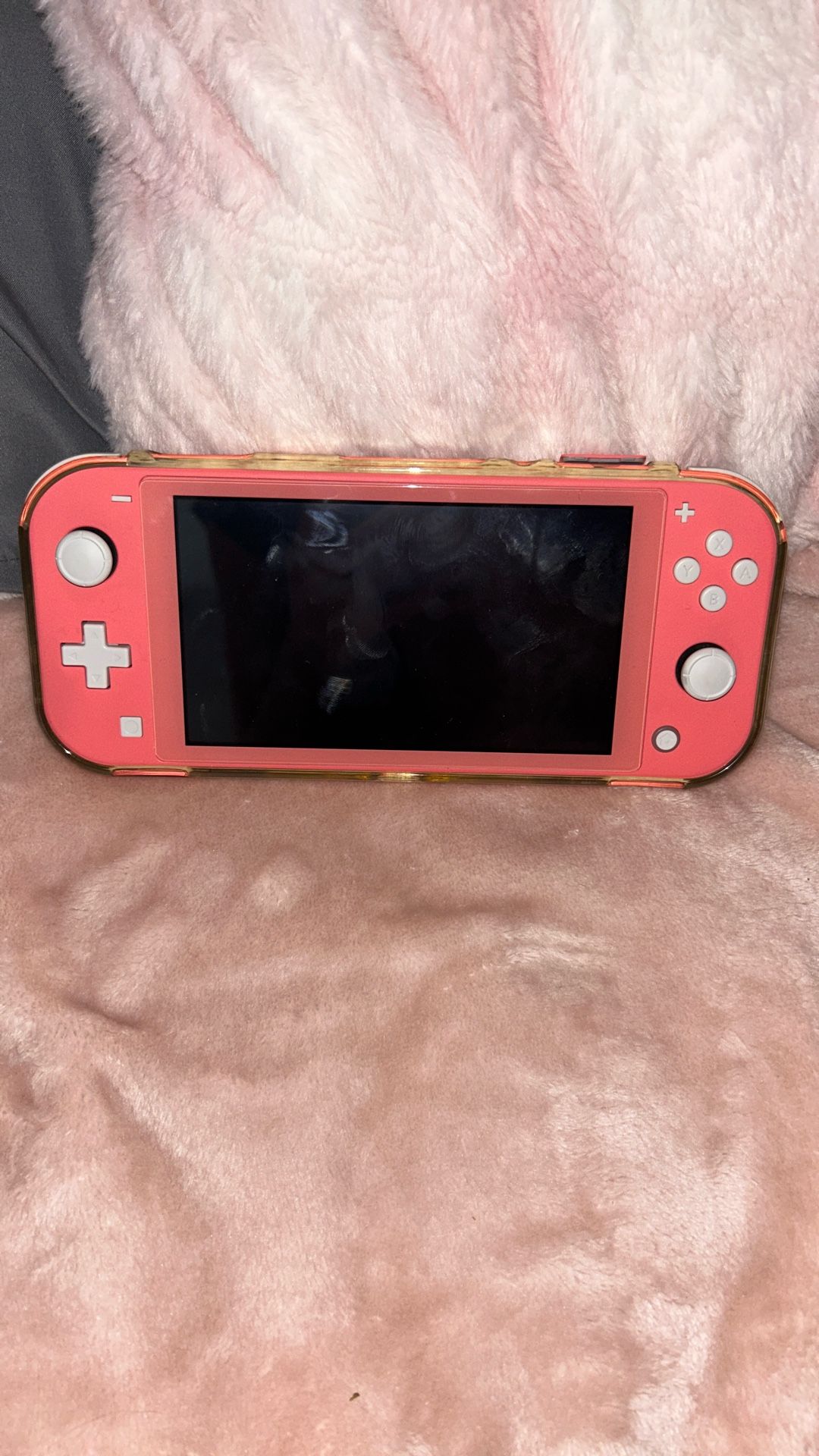 Nintendo Lite 