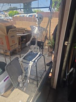 Skeleton