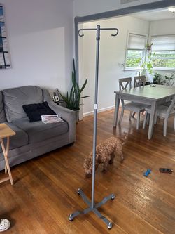 IV Pole Stand on Wheels