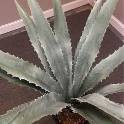 artificial agave planter, 4 feet tall.