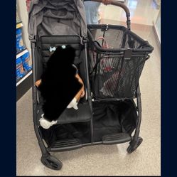 Stroller With Cart 