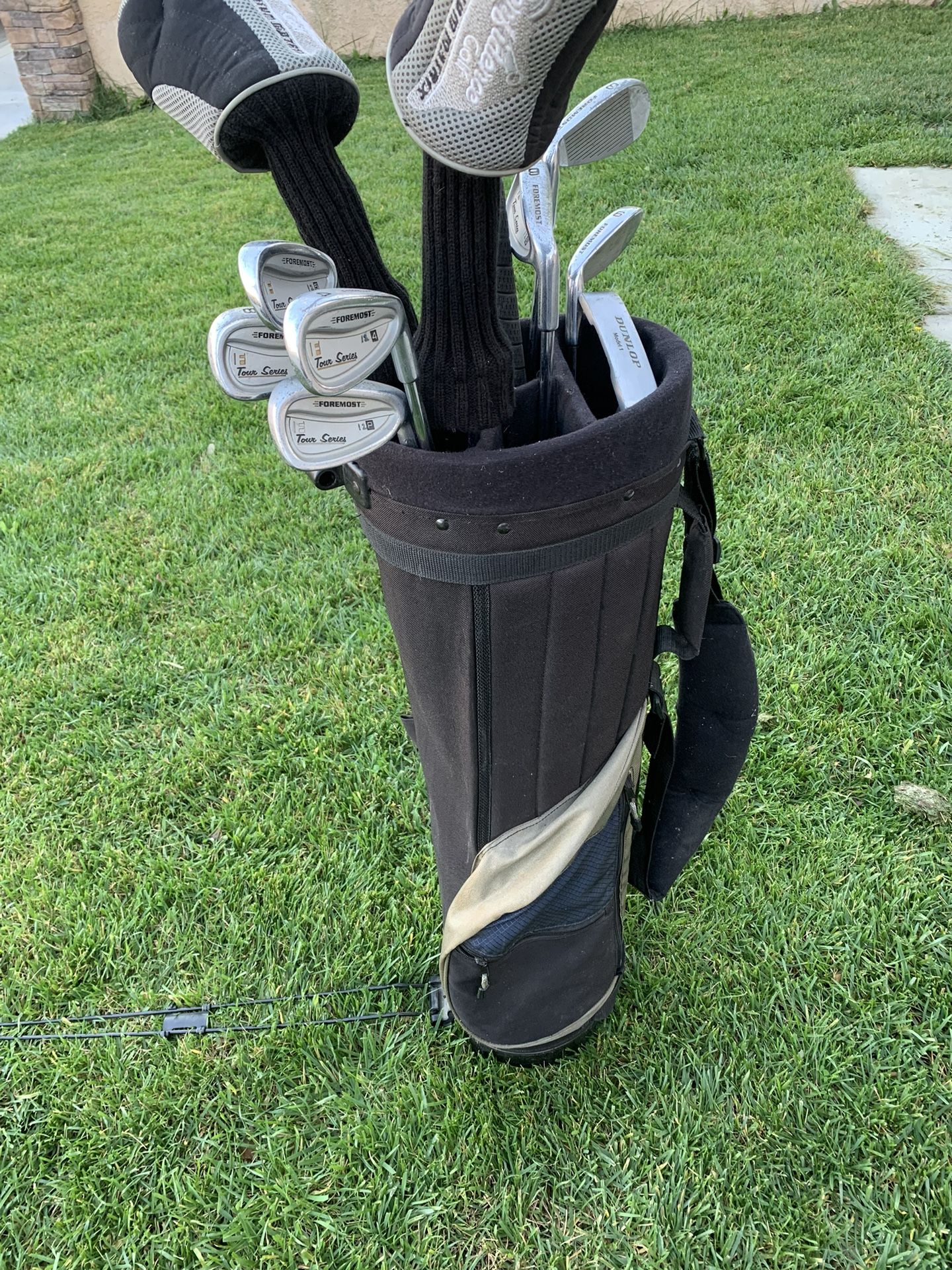 Golf Clubs and Carrier
