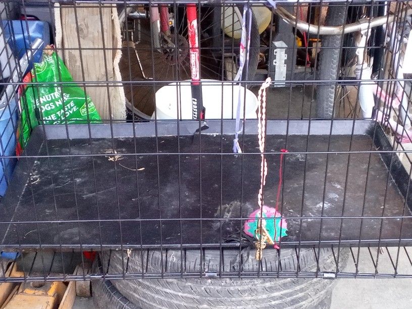 Dog Cage