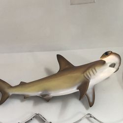 Golden hammerhead shark mount taxidermy