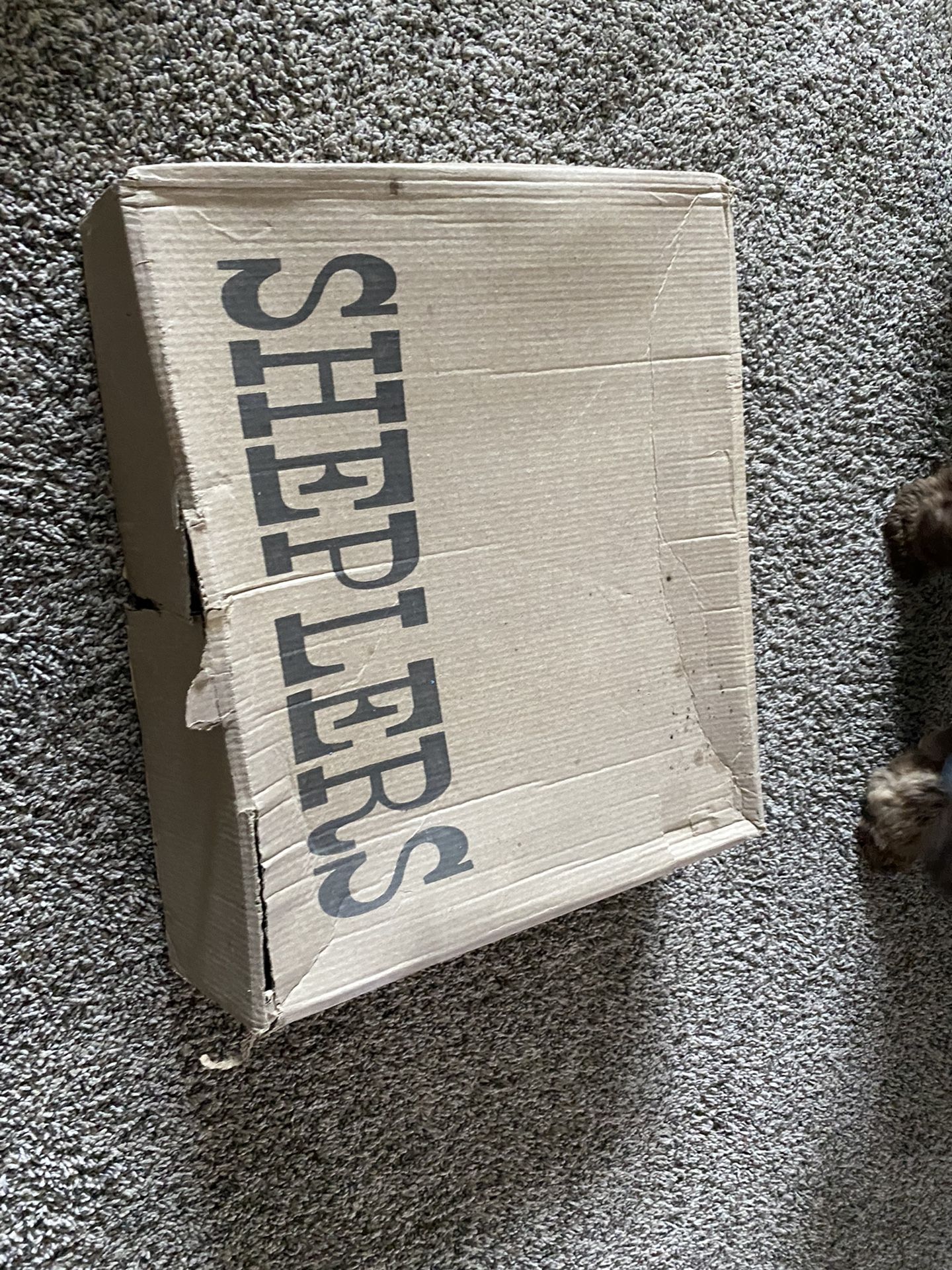 Sheplers Cowboy Boots