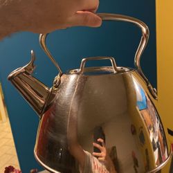 All Clad Stainless Steel Tea Kettle for Sale in Philadelphia, PA - OfferUp