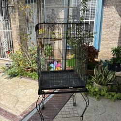Bought This Large Bird Cage See Info!
